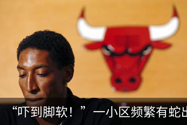 “吓到脚软！”一小区频繁有蛇出没，还有眼镜蛇；专家：居住区垃圾为蛇类间接提供食物