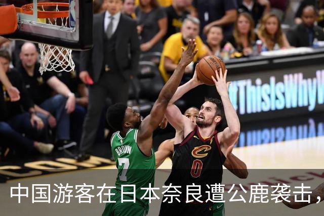 中国游客在日本奈良遭公鹿袭击，背部被顶出深长伤口，在医院遇到同样被鹿撞飞的游客，“因为是野生动物，无法赔偿”；不少人称有类似遭遇