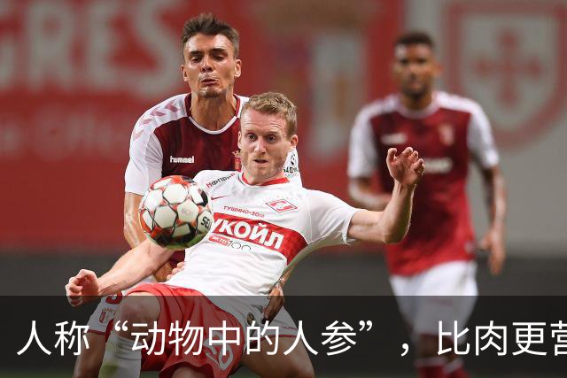 人称“动物中的人参”，比肉更营养，6块钱一斤，好吃实惠别错过