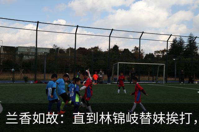 兰香如故：直到林锦岐替妹挨打，才明白他为什么宁死，也要保护妹妹