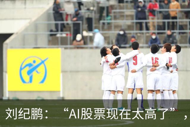 刘纪鹏：“AI股票现在太高了”，旁边林园意味深长一笑