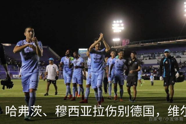 哈弗茨、穆西亚拉伤别德国，维尔茨、布尔卡特入替
