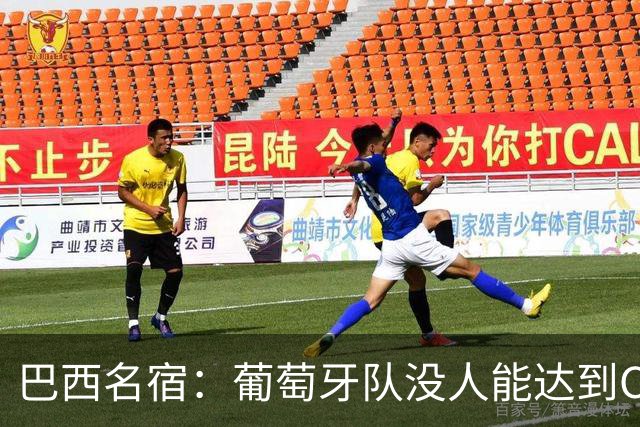 巴西名宿：葡萄牙队没人能达到C罗脚踝高度 后者默默点了个赞