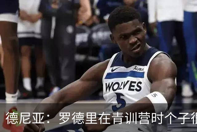 德尼亚：罗德里在青训营时个子很小，但总能比别人先想一步