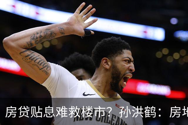 房贷贴息难救楼市？孙洪鹤：房地产现状，一半要归因网红直播电商