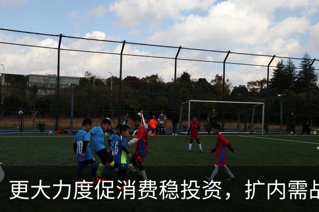 更大力度促消费稳投资，扩内需战略实施方案将出台