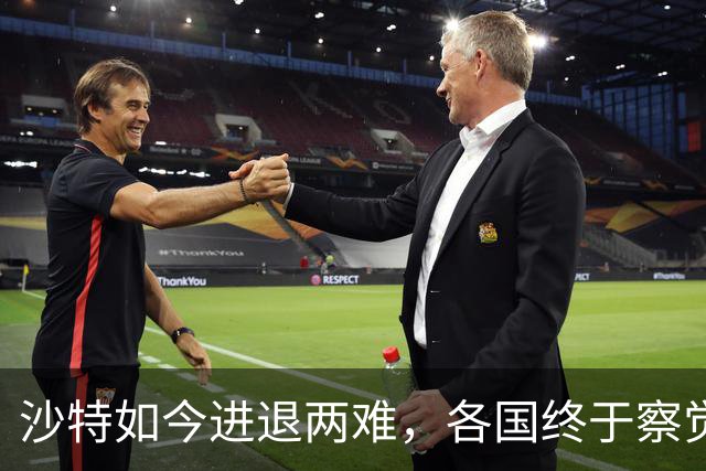 沙特如今进退两难，各国终于察觉到不对劲：中国最开始的选择没错