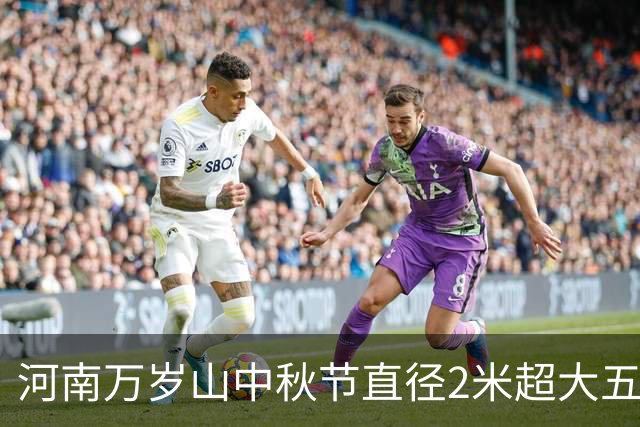 河南万岁山中秋节直径2米超大五仁月饼亮相，重量超300公斤，景区称当天很快发完