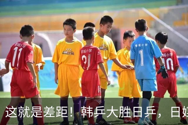 这就是差距！韩乒大胜日乒，日媒一针见血，点破日本为啥只拿1分