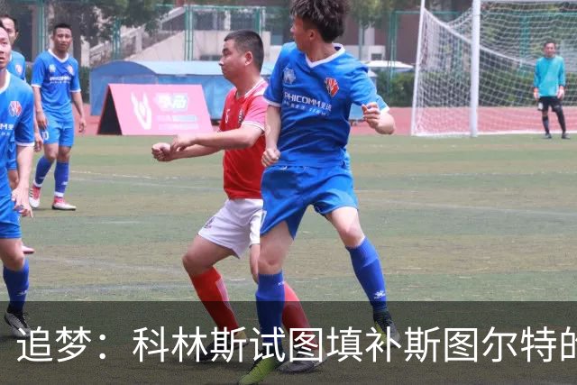 追梦：科林斯试图填补斯图尔特的狠角色空缺 但狄龙可不好惹