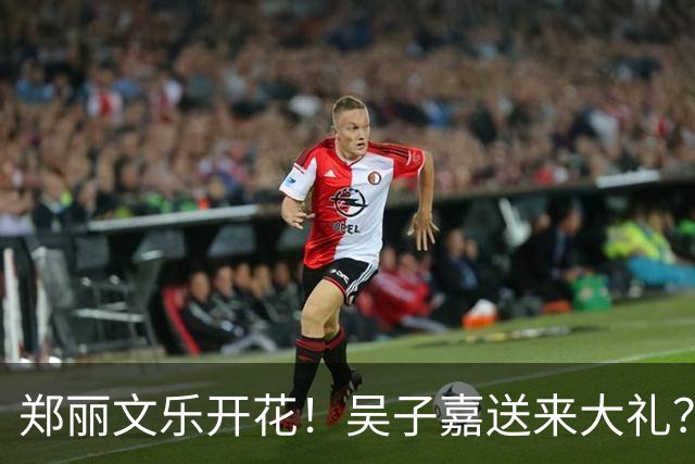 郑丽文乐开花！吴子嘉送来大礼？最新民调再次反转，蓝营1地稳了