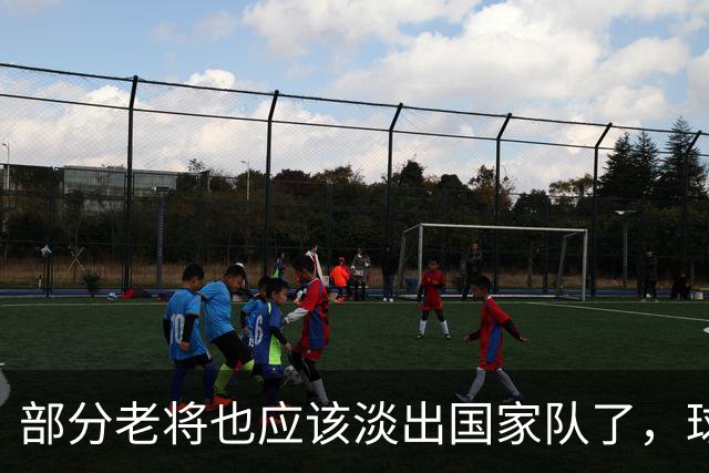 部分老将也应该淡出国家队了，球队必须从战术和选人方面全面改革