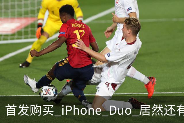 首发购买 iPhone Duo 居然还有专属彩蛋，这也太尊贵了！