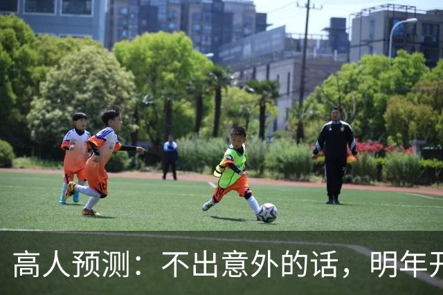 高人预测：不出意外的话，明年开始，新能源车将迎来3大变局
